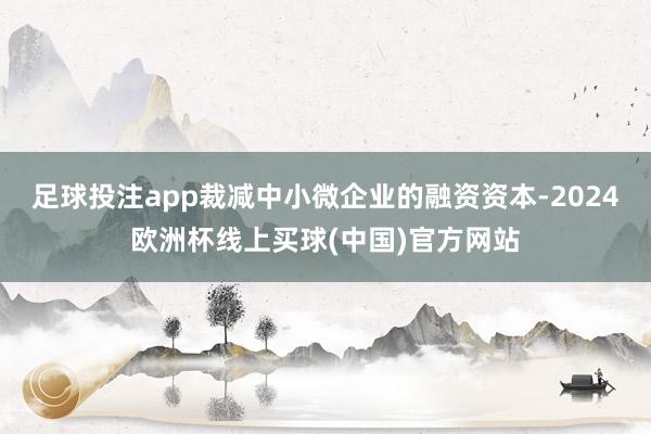 足球投注app裁减中小微企业的融资资本-2024欧洲杯线上买球(中国)官方网站
