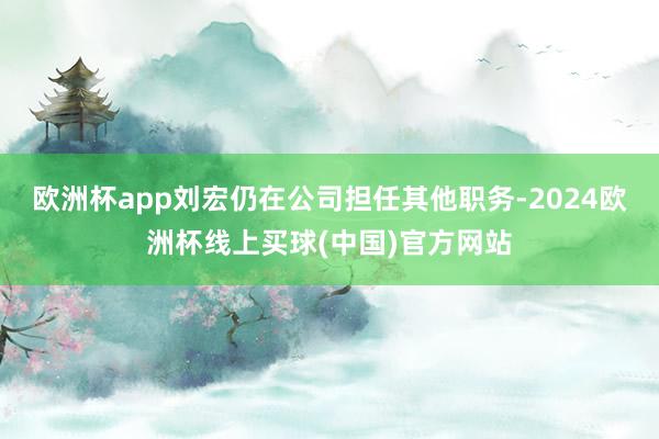 欧洲杯app刘宏仍在公司担任其他职务-2024欧洲杯线上买球(中国)官方网站