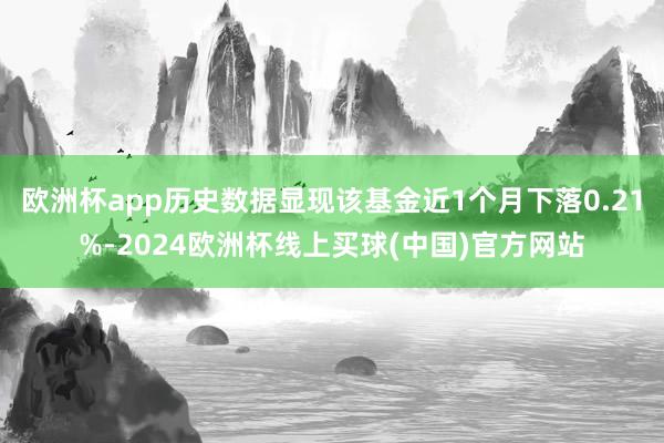 欧洲杯app历史数据显现该基金近1个月下落0.21%-2024欧洲杯线上买球(中国)官方网站