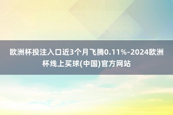 欧洲杯投注入口近3个月飞腾0.11%-2024欧洲杯线上买球(中国)官方网站