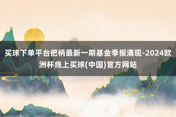 买球下单平台把柄最新一期基金季报涌现-2024欧洲杯线上买球(中国)官方网站