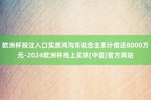 欧洲杯投注入口实质鸿沟东说念主累计偿还8000万元-2024欧洲杯线上买球(中国)官方网站