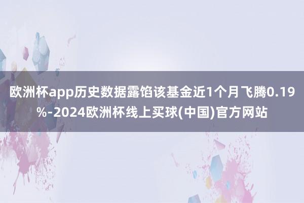 欧洲杯app历史数据露馅该基金近1个月飞腾0.19%-2024欧洲杯线上买球(中国)官方网站