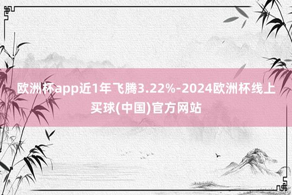 欧洲杯app近1年飞腾3.22%-2024欧洲杯线上买球(中国)官方网站