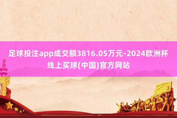 足球投注app成交额3816.05万元-2024欧洲杯线上买球(中国)官方网站