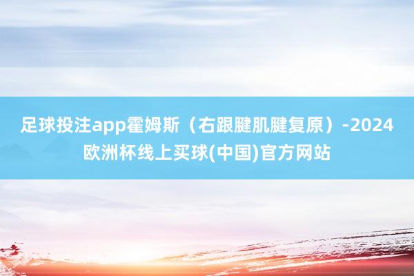 足球投注app霍姆斯（右跟腱肌腱复原）-2024欧洲杯线上买球(中国)官方网站