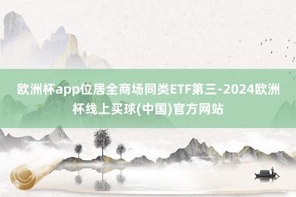 欧洲杯app位居全商场同类ETF第三-2024欧洲杯线上买球(中国)官方网站