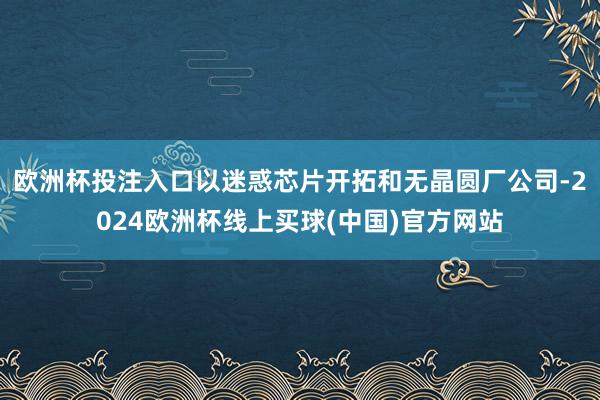 欧洲杯投注入口以迷惑芯片开拓和无晶圆厂公司-2024欧洲杯线上买球(中国)官方网站