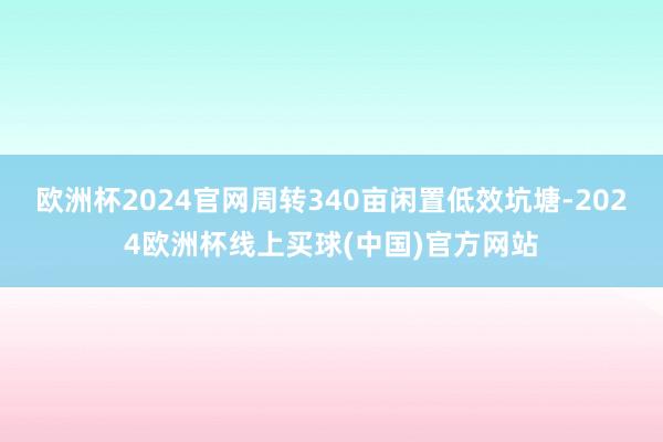 欧洲杯2024官网周转340亩闲置低效坑塘-2024欧洲杯线上买球(中国)官方网站