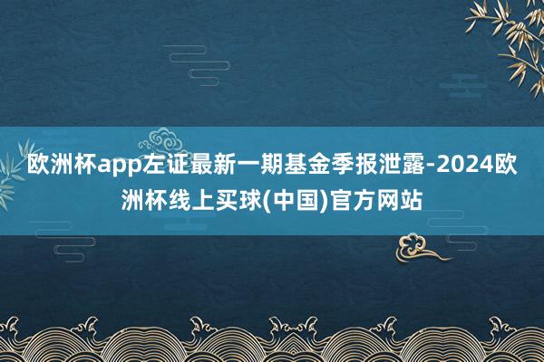 欧洲杯app左证最新一期基金季报泄露-2024欧洲杯线上买球(中国)官方网站