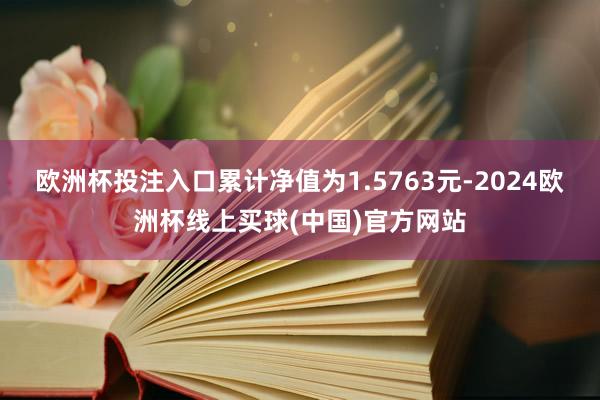 欧洲杯投注入口累计净值为1.5763元-2024欧洲杯线上买球(中国)官方网站