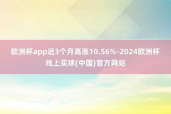 欧洲杯app近3个月高涨10.56%-2024欧洲杯线上买球(中国)官方网站