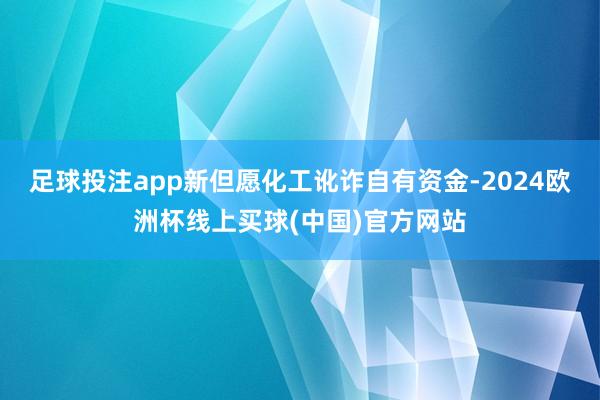 足球投注app新但愿化工讹诈自有资金-2024欧洲杯线上买球(中国)官方网站