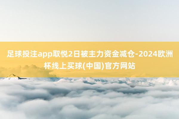 足球投注app取悦2日被主力资金减仓-2024欧洲杯线上买球(中国)官方网站