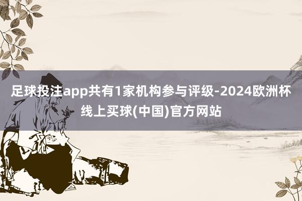 足球投注app共有1家机构参与评级-2024欧洲杯线上买球(中国)官方网站