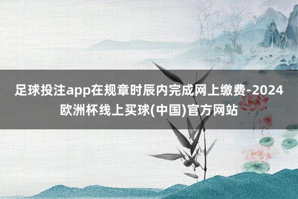 足球投注app在规章时辰内完成网上缴费-2024欧洲杯线上买球(中国)官方网站