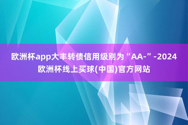 欧洲杯app大丰转债信用级别为“AA-”-2024欧洲杯线上买球(中国)官方网站