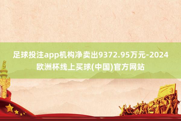 足球投注app机构净卖出9372.95万元-2024欧洲杯线上买球(中国)官方网站