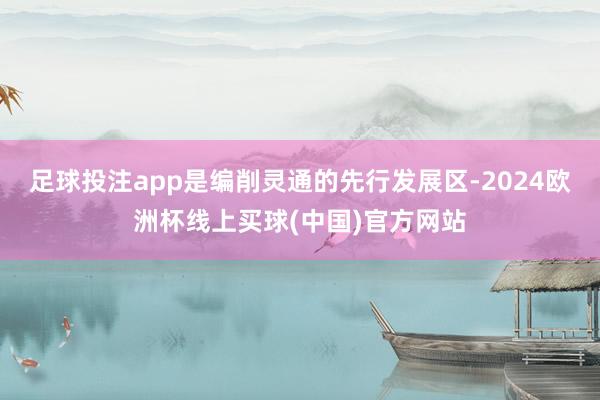 足球投注app是编削灵通的先行发展区-2024欧洲杯线上买球(中国)官方网站