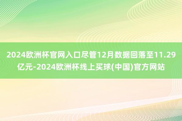 2024欧洲杯官网入口尽管12月数据回落至11.29亿元-2024欧洲杯线上买球(中国)官方网站