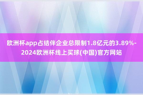 欧洲杯app占结伴企业总限制1.8亿元的3.89%-2024欧洲杯线上买球(中国)官方网站