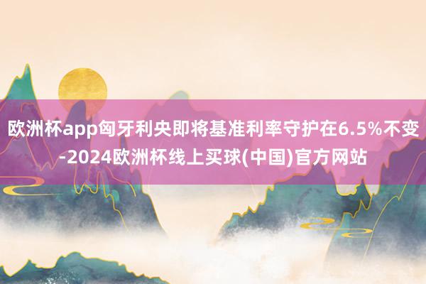 欧洲杯app匈牙利央即将基准利率守护在6.5%不变-2024欧洲杯线上买球(中国)官方网站