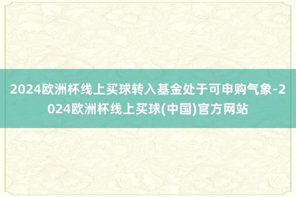 2024欧洲杯线上买球转入基金处于可申购气象-2024欧洲杯线上买球(中国)官方网站