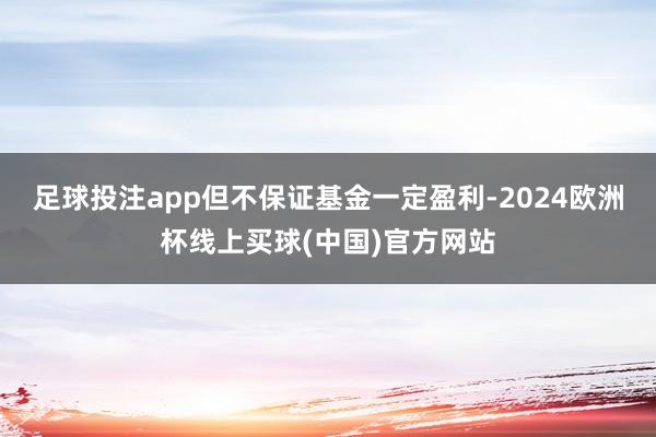 足球投注app但不保证基金一定盈利-2024欧洲杯线上买球(中国)官方网站