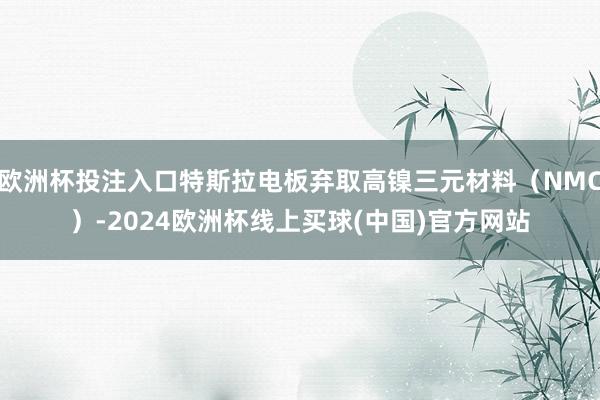 欧洲杯投注入口特斯拉电板弃取高镍三元材料（NMC）-2024欧洲杯线上买球(中国)官方网站