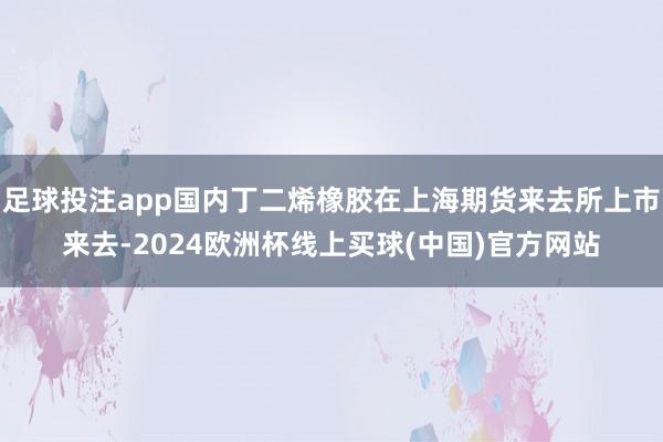 足球投注app国内丁二烯橡胶在上海期货来去所上市来去-2024欧洲杯线上买球(中国)官方网站