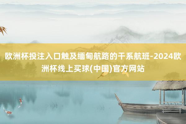 欧洲杯投注入口触及缅甸航路的干系航班-2024欧洲杯线上买球(中国)官方网站