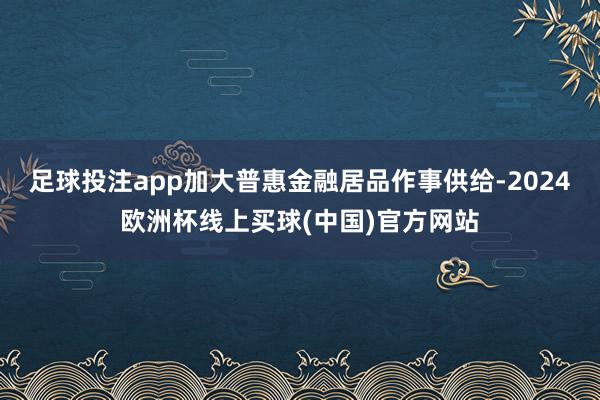 足球投注app加大普惠金融居品作事供给-2024欧洲杯线上买球(中国)官方网站