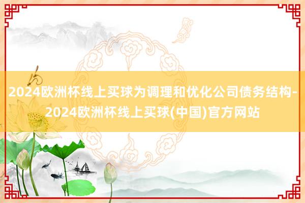 2024欧洲杯线上买球为调理和优化公司债务结构-2024欧洲杯线上买球(中国)官方网站