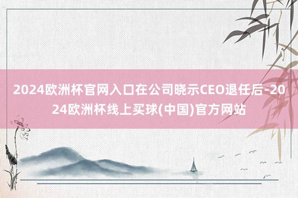 2024欧洲杯官网入口在公司晓示CEO退任后-2024欧洲杯线上买球(中国)官方网站