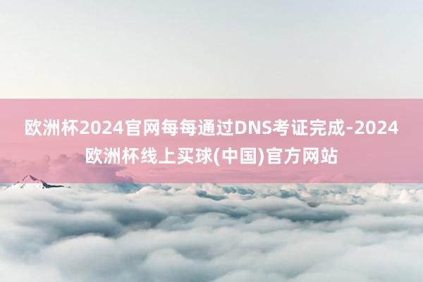 欧洲杯2024官网每每通过DNS考证完成-2024欧洲杯线上买球(中国)官方网站