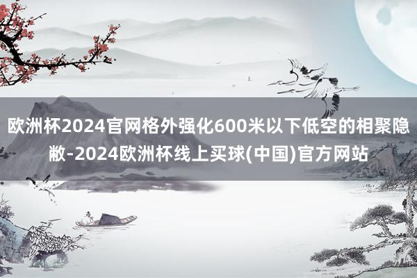 欧洲杯2024官网格外强化600米以下低空的相聚隐敝-2024欧洲杯线上买球(中国)官方网站