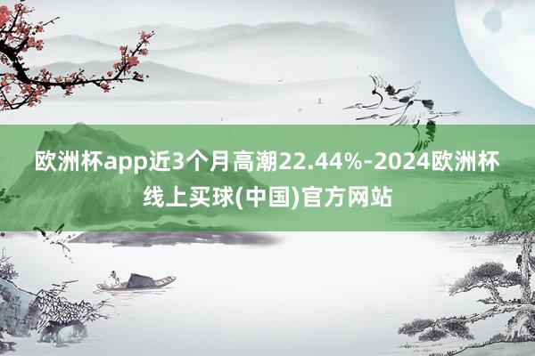 欧洲杯app近3个月高潮22.44%-2024欧洲杯线上买球(中国)官方网站