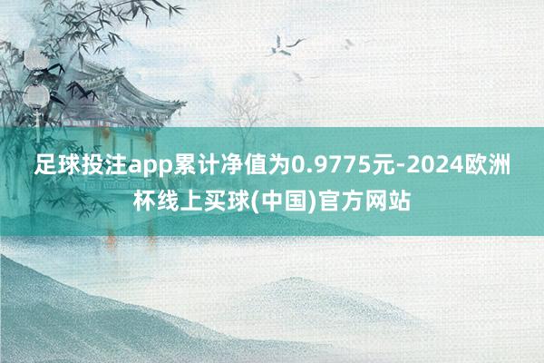 足球投注app累计净值为0.9775元-2024欧洲杯线上买球(中国)官方网站