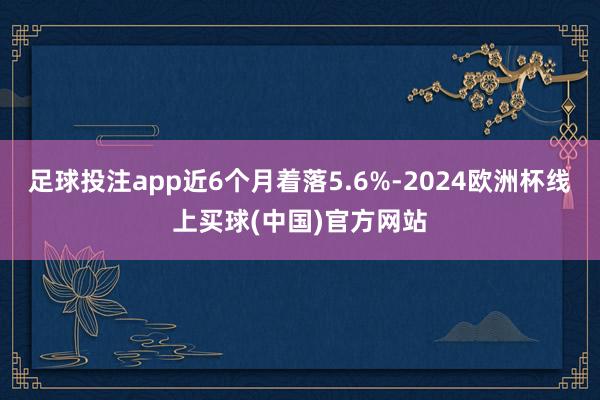 足球投注app近6个月着落5.6%-2024欧洲杯线上买球(中国)官方网站
