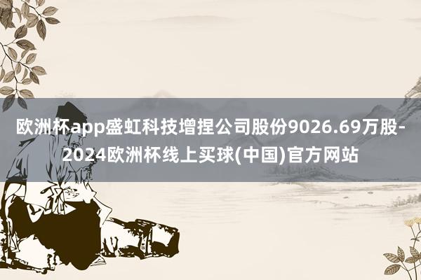 欧洲杯app盛虹科技增捏公司股份9026.69万股-2024欧洲杯线上买球(中国)官方网站