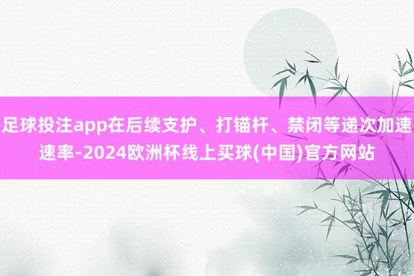 足球投注app在后续支护、打锚杆、禁闭等递次加速速率-2024欧洲杯线上买球(中国)官方网站