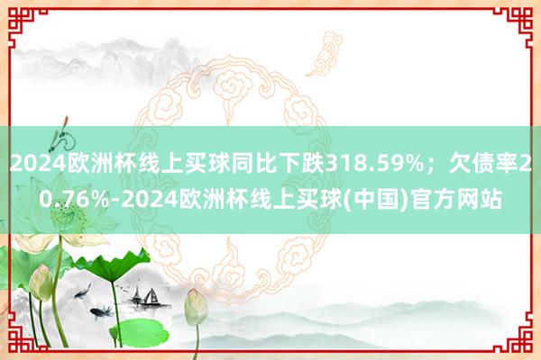 2024欧洲杯线上买球同比下跌318.59%；欠债率20.76%-2024欧洲杯线上买球(中国)官方网站