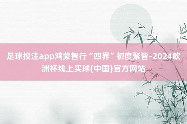 足球投注app鸿蒙智行“四界”初度聚皆-2024欧洲杯线上买球(中国)官方网站
