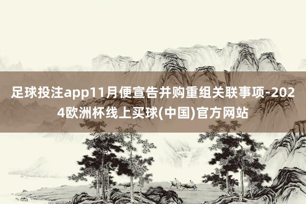 足球投注app11月便宣告并购重组关联事项-2024欧洲杯线上买球(中国)官方网站