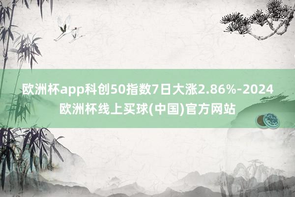 欧洲杯app科创50指数7日大涨2.86%-2024欧洲杯线上买球(中国)官方网站