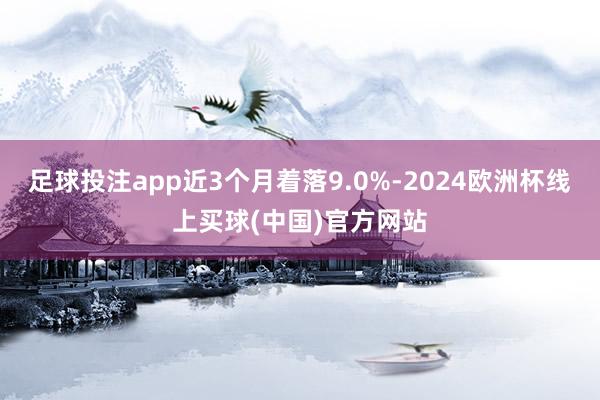 足球投注app近3个月着落9.0%-2024欧洲杯线上买球(中国)官方网站