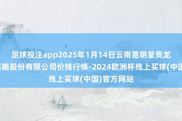 足球投注app2025年1月14日云南昆明呈贡龙城农家具谋略股份有限公司价钱行情-2024欧洲杯线上买球(中国)官方网站