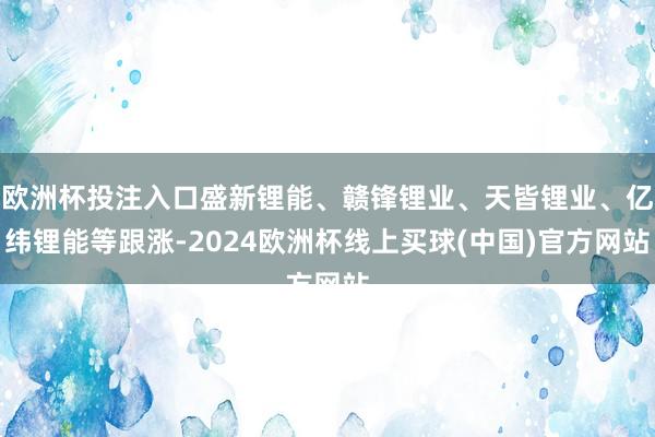 欧洲杯投注入口盛新锂能、赣锋锂业、天皆锂业、亿纬锂能等跟涨-2024欧洲杯线上买球(中国)官方网站