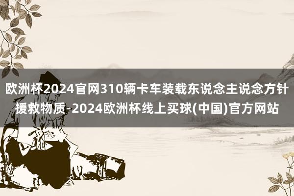 欧洲杯2024官网310辆卡车装载东说念主说念方针援救物质-2024欧洲杯线上买球(中国)官方网站