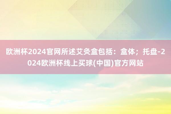 欧洲杯2024官网所述艾灸盒包括：盒体；托盘-2024欧洲杯线上买球(中国)官方网站